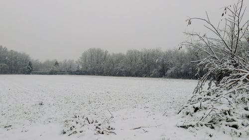 有关冬季, 大雪, 天性的免费素材视频