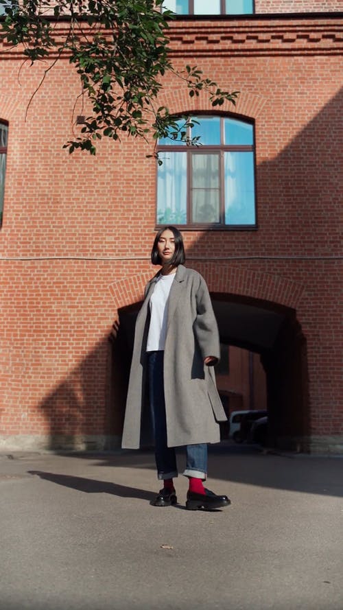 有关休闲, 优雅, 可爱的免费素材视频