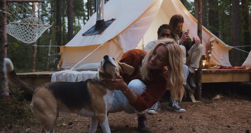 有关glamping, 休闲, 伴侣的免费素材视频