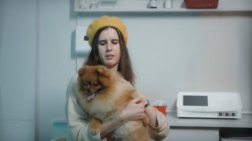 有关兽医, 动物, 呼吸的免费素材视频