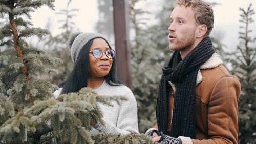 有关一起, 冬季, 季节的免费素材视频