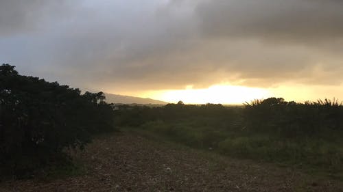 有关下田, 下雨, 下雨天的免费素材视频