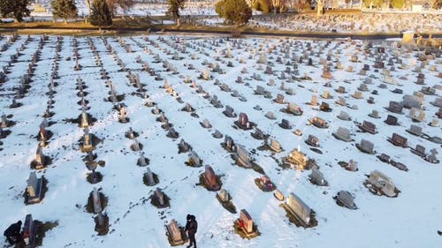 有关下雪的, 冬季, 分支机构的免费素材视频