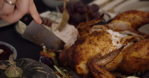 有关刀, 切片, 可口的的免费素材视频