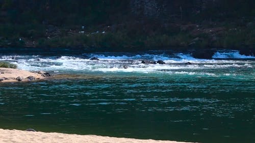 有关天性, 户外, 水涟漪的免费素材视频