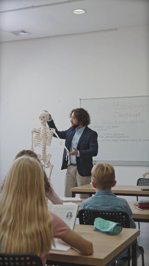 有关人体骨骼, 儿童, 回到学校的免费素材视频