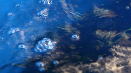 有关水, 水波, 水面的免费素材视频