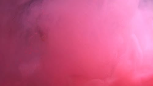 有关侏罗纪, 动物, 危险的免费素材视频