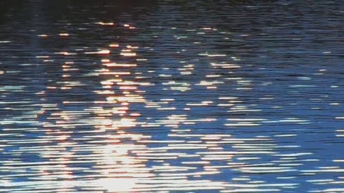 有关光, 反射, 户外的免费素材视频