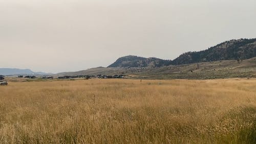 有关冷静, 和平的, 安静的免费素材视频