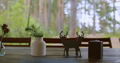 有关glamping, 夏天, 天性的免费素材视频