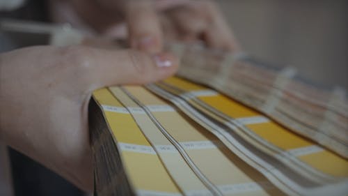 有关手, 抓住, 握住的免费素材视频