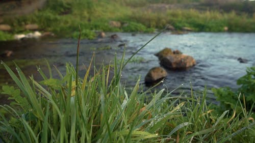 有关天性, 岩石, 模糊的背景的免费素材视频