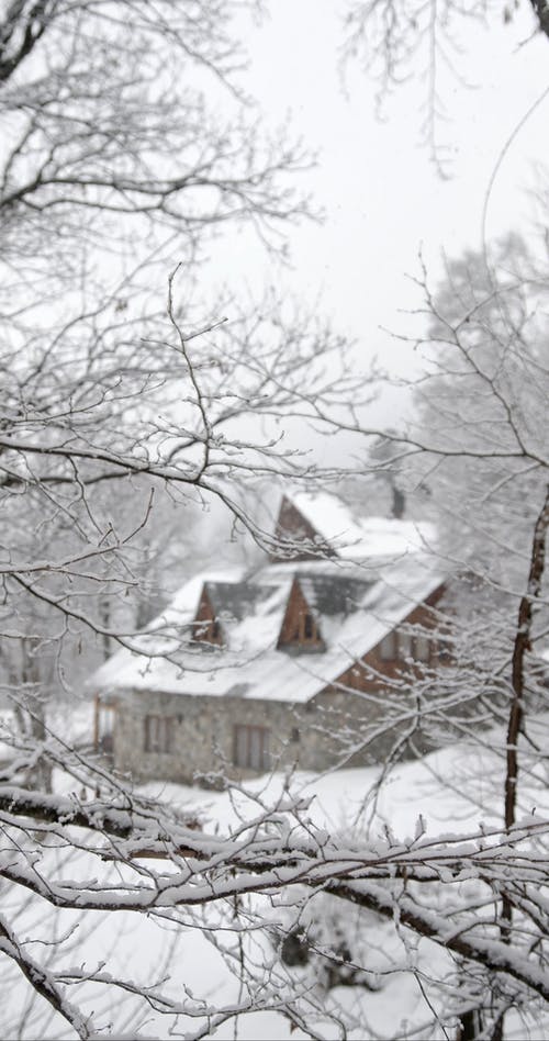 有关下雪的天气, 冬季, 冷的免费素材视频