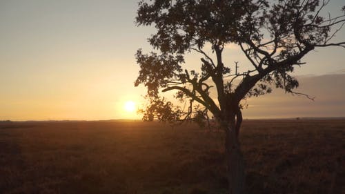 有关下午, 地平线, 天性的免费素材视频