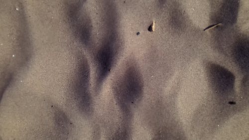 有关假期, 地平线, 天性的免费素材视频