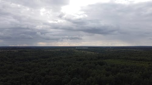 有关天空, 树木, 汽车的免费素材视频