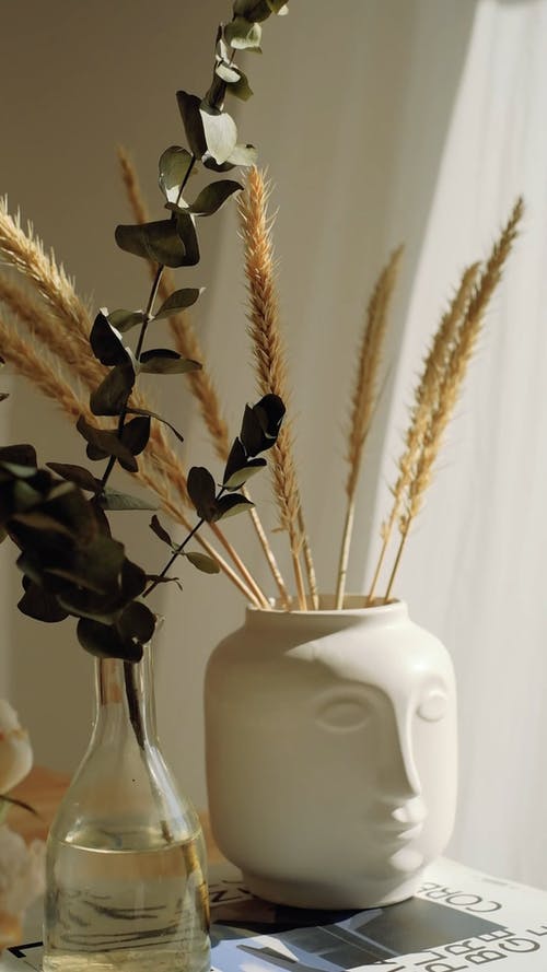 有关优雅, 在家, 垂直视频的免费素材视频