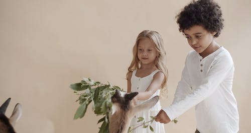 有关吃, 女孩, 孩子的免费素材视频