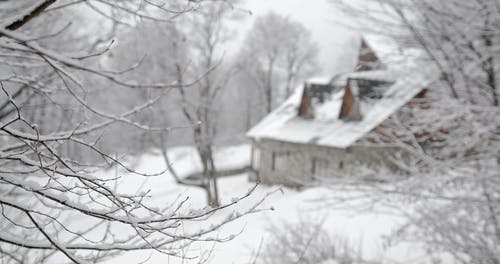 有关下雪的, 冬季, 冷冰的的免费素材视频