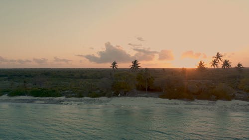 有关岸边, 日落, 棕榈树的免费素材视频