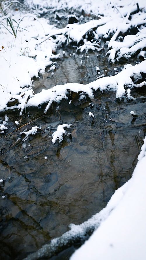 有关下雪的天气, 冬季, 冰的免费素材视频