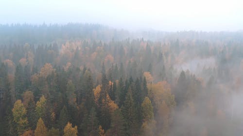 有关4k视频, 天性, 户外的免费素材视频