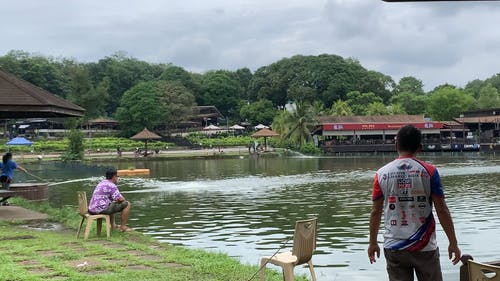 有关喷泉, 树木, 水反射的免费素材视频