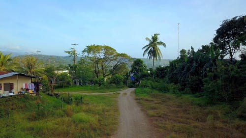 有关天性, 户外, 景观的免费素材视频