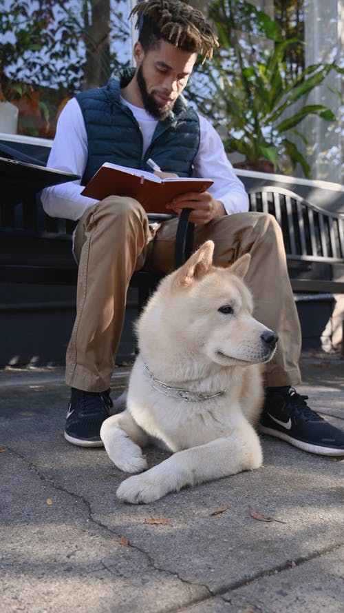 有关人, 动物, 写作的免费素材视频