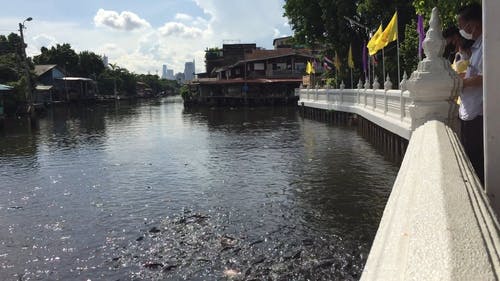 有关人, 户外, 旅行的免费素材视频