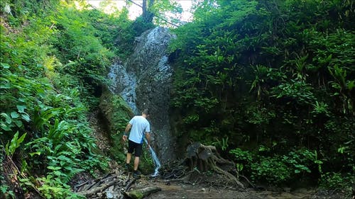 有关人, 喝, 天性的免费素材视频