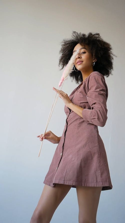 有关乾燥花, 低角度拍摄, 垂直视频的免费素材视频