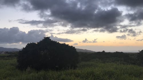 有关优美的风景, 地平线, 夏天的免费素材视频