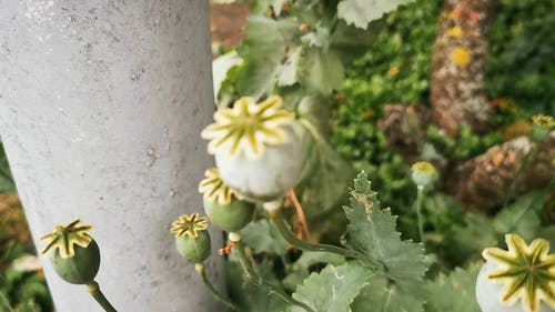 有关动态射击, 工厂, 手持拍摄的免费素材视频