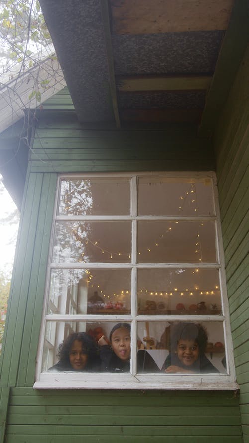 有关一起, 伸出舌头, 在家的免费素材视频