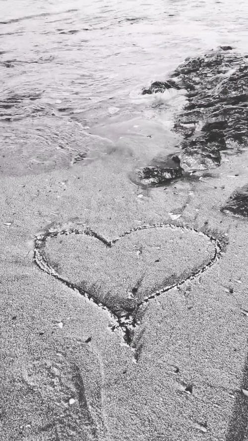 有关垂直视频, 天性, 心的免费素材视频