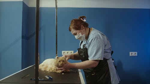 有关人, 侧面图, 剃刀的免费素材视频