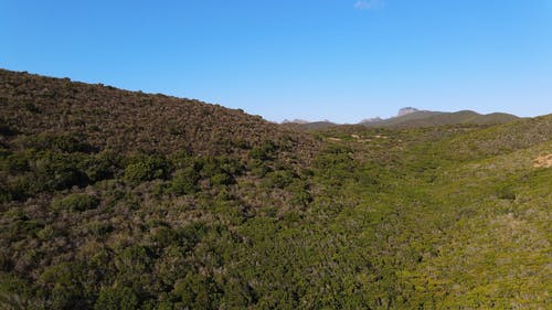 有关天性, 山, 从上面的免费素材视频