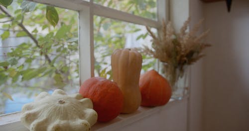 有关件, 南瓜, 室内的免费素材视频