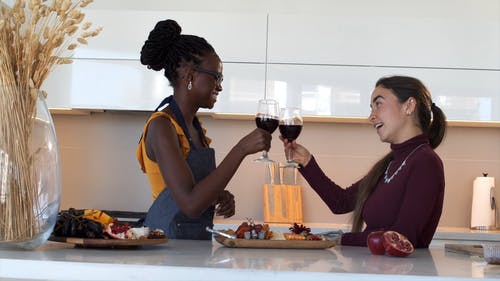 两个女人喝红酒 · 免费素材视频