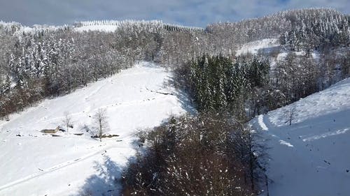 有关下雪, 冬季, 冰的免费素材视频