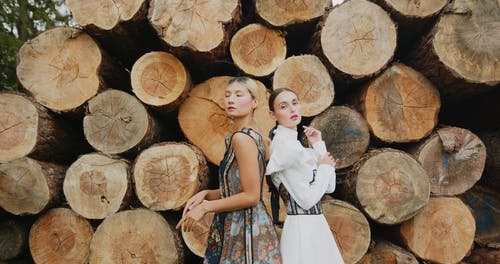 有关原本, 圆木条, 女性的免费素材视频