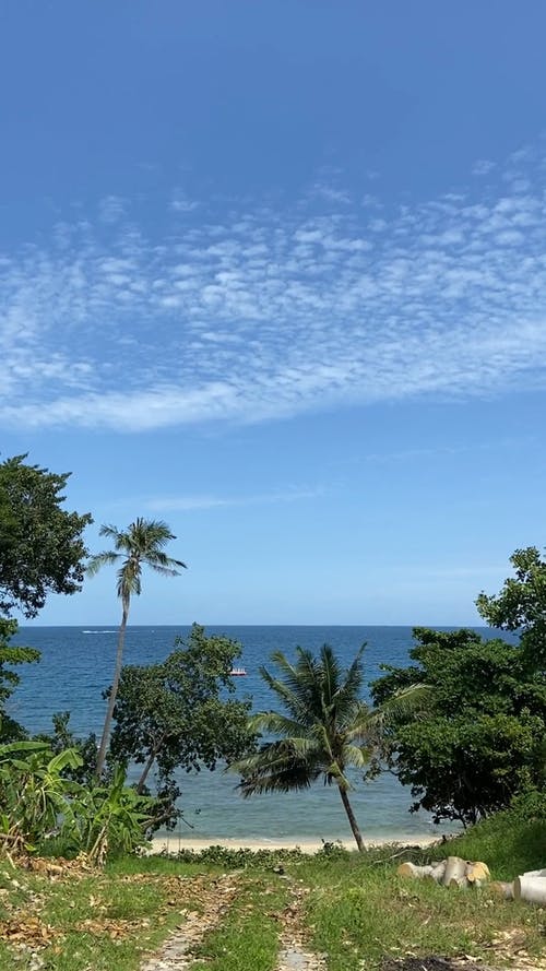 有关垂直视频, 多风, 天空的免费素材视频