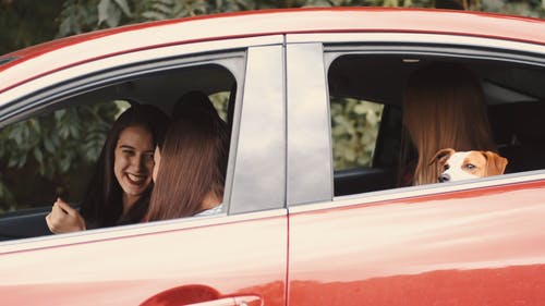 有关休闲, 伴侣, 千年的免费素材视频