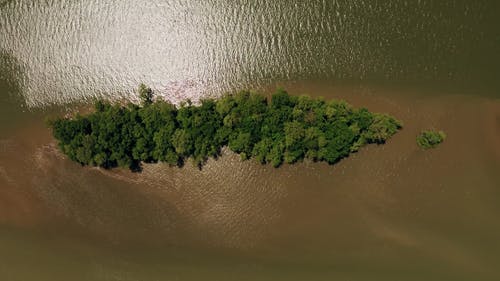 有关俯视图, 天性, 户外的免费素材视频