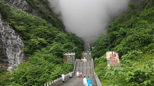 有关光, 冒险, 天性的免费素材视频