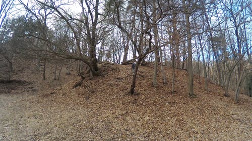 有关下落, 往上爬, 户外的免费素材视频