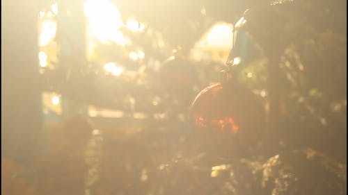 有关树, 特写, 耶誔球饰品的免费素材视频