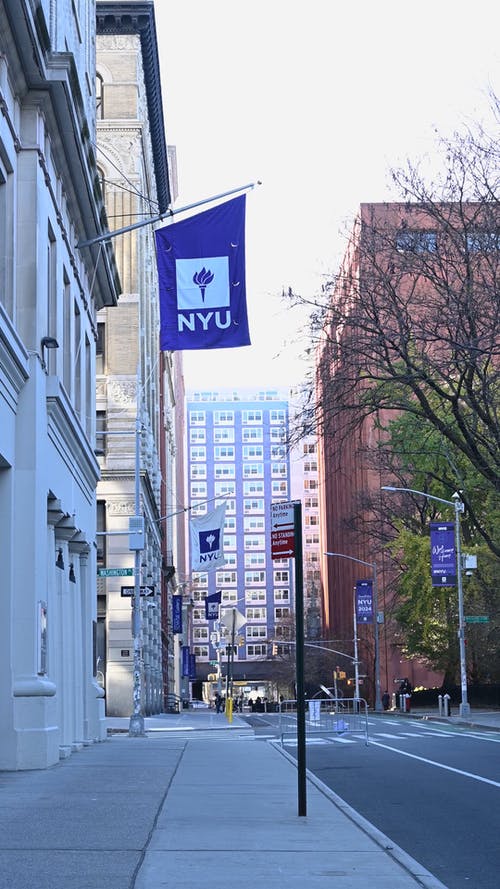 有关人行道, 垂直视频, 大学校区的免费素材视频